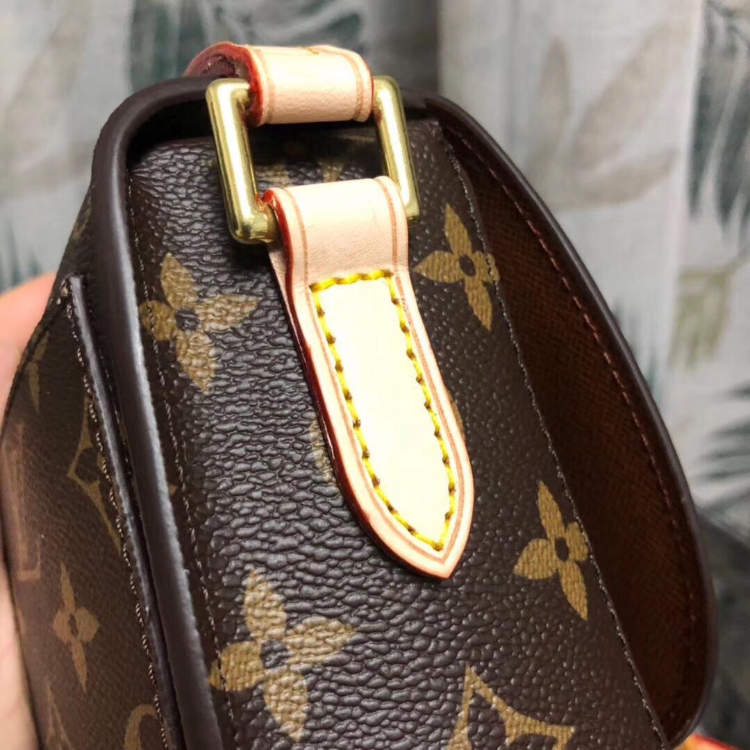 túi xách louis vuitton