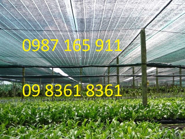 Công dụng lưới che nắng