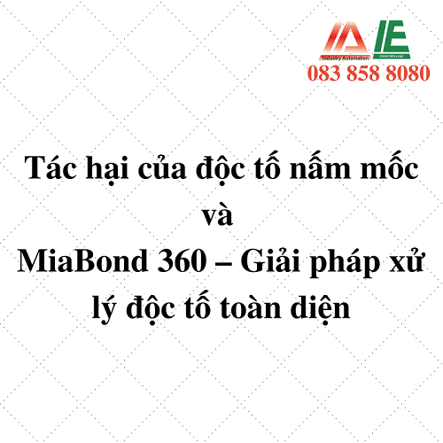 Tác hại của độc tố nấm mốc (mycotoxins) đối với lợn, đặc biệt là heo nái và heo con và giải pháp MiaBond 360
