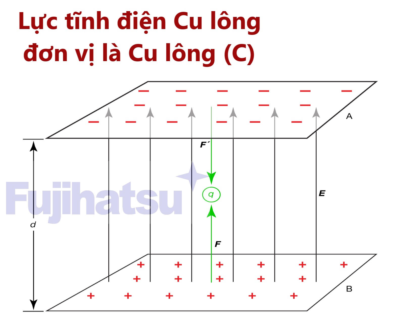 Hiện tượng tĩnh điện là gì? lực cu lông là gì? Đơn vị đo tĩnh điện là gì?