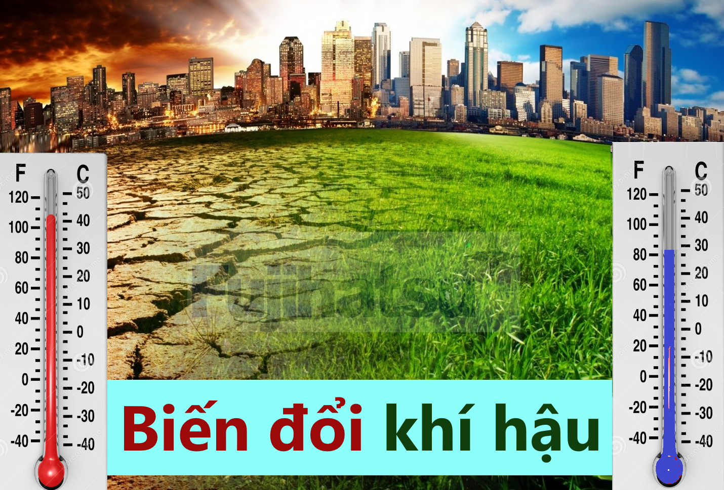 Biến đổi khí hậu là gì? nguyên nhân gây ra biến đổi khí hậu?
