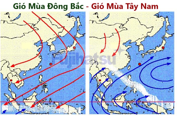Gió mùa đông bắc khác gió mùa tây nam như thế nào?