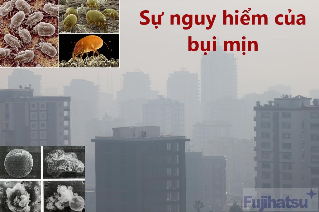 Sự nguy hiểm của bụi