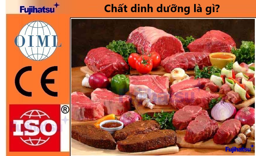 CHẤT DINH DƯỠNG LÀ GÌ? CÓ MẤY LOẠI? - THÔNG TIN TỪ TỔ CHỨC FAO