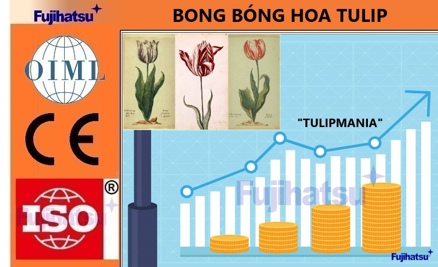 BONG BỎNG ĐẦU CƠ ĐẦU TIÊN TRÊN THẾ GIỚI DIỄN RA Ở ĐÂU? TULIPMANIA LÀ GÌ?