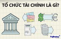 TỔ CHỨC TÀI CHÍNH LÀ GÌ? HOẠT ĐỘNG NHƯ THẾ NÀO? - CÂN ĐIỆN TỬ FUJIHATSU