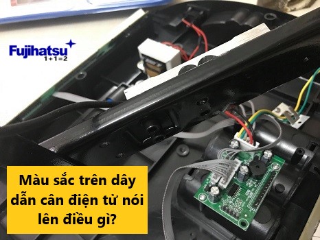 Màu sắc trên dây dẫn cân điện tử nói lên điều gì? - Cân điện tử fujihatsu