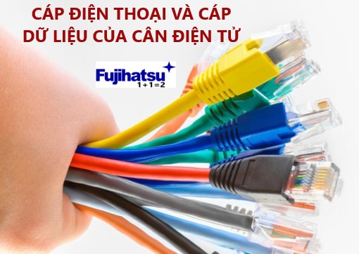 CÁP ĐIỆN THOẠI VÀ CÁP DỮ LIỆU CỦA CÂN ĐIỆN TỬ - CÂN ĐIỆN TỬ FUJIHATSU