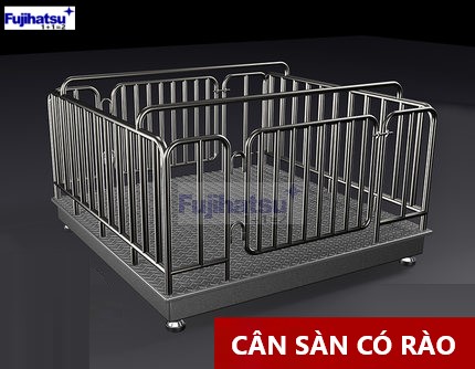 TẠI SAO BẠN NÊN LỰA CHỌN CÂN SÀN Ở QUẢNG NINH?