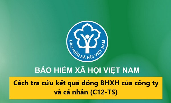 Cách tra cứu kết quả đóng BHXH của công ty và cá nhân (C12-TS) chính xác nhất