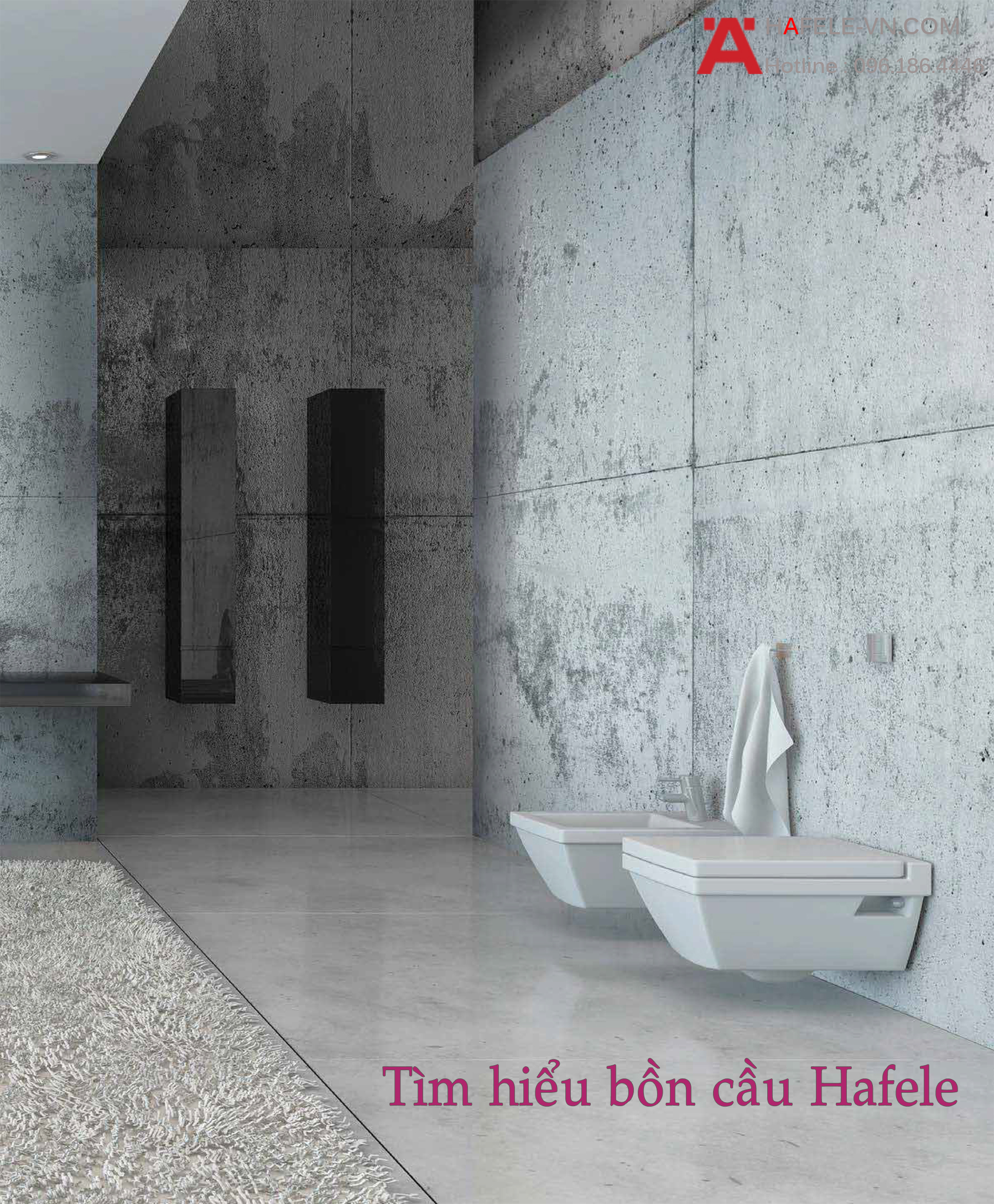 Tìm Hiểu Bồn Cầu Hafele
