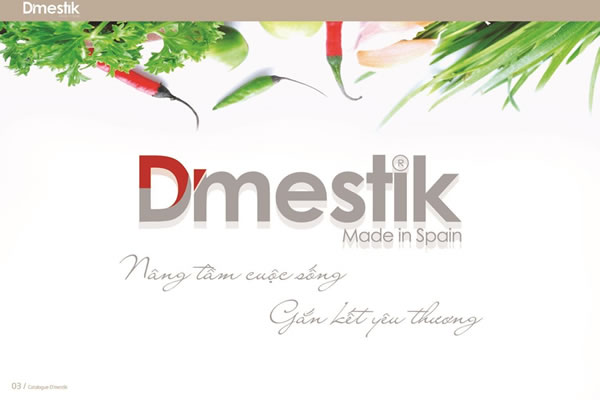 BẾP TỪ DMESTIK NHẬP KHẨU TÂY BAN NHA