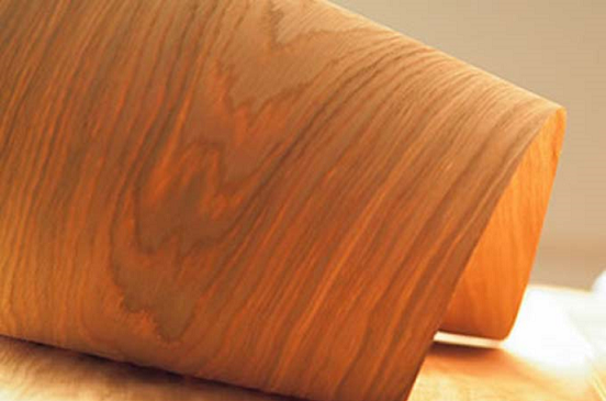 Veneer là gì?