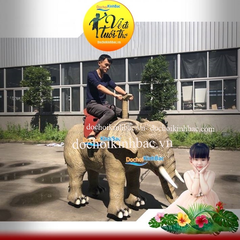 Đồ chơi Kinh Bắc cung cấp lái xe khủng long tại Phước Đại, Bắc Ái, Ninh Thuận