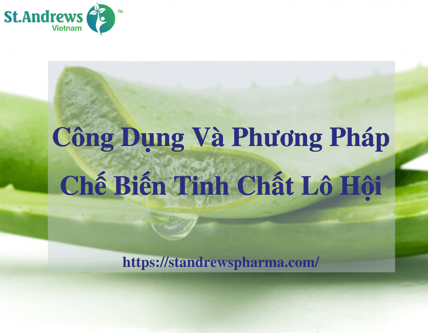 " Bật Mí " Công Dụng Và Phương Pháp Chế Biến Tinh Chất Lô Hội