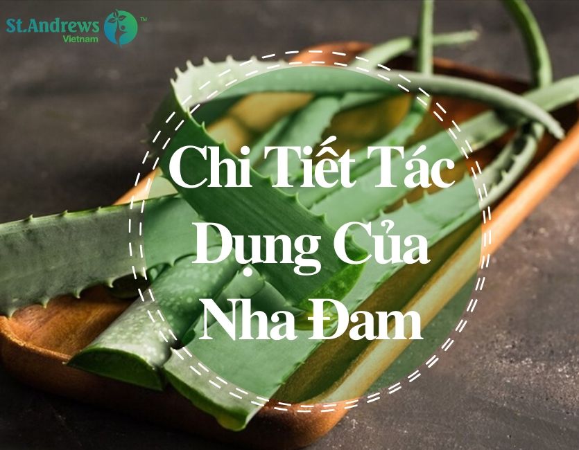 Tổng Hợp Tất Tần Tật Tác Dụng Tuyệt Vời Của Nha Đam