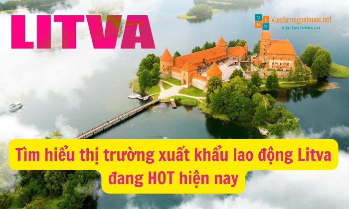 LITVA thị trường HOT hiện nay