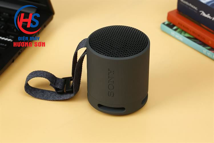 Đại Lý Cung Cấp Loa Sony Chính Hãng Tại Vinh, Nghệ An
