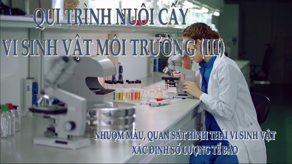 THAO TÁC TRONG PTN NUÔI CẤY VI SINH VẬT (Phần 3)