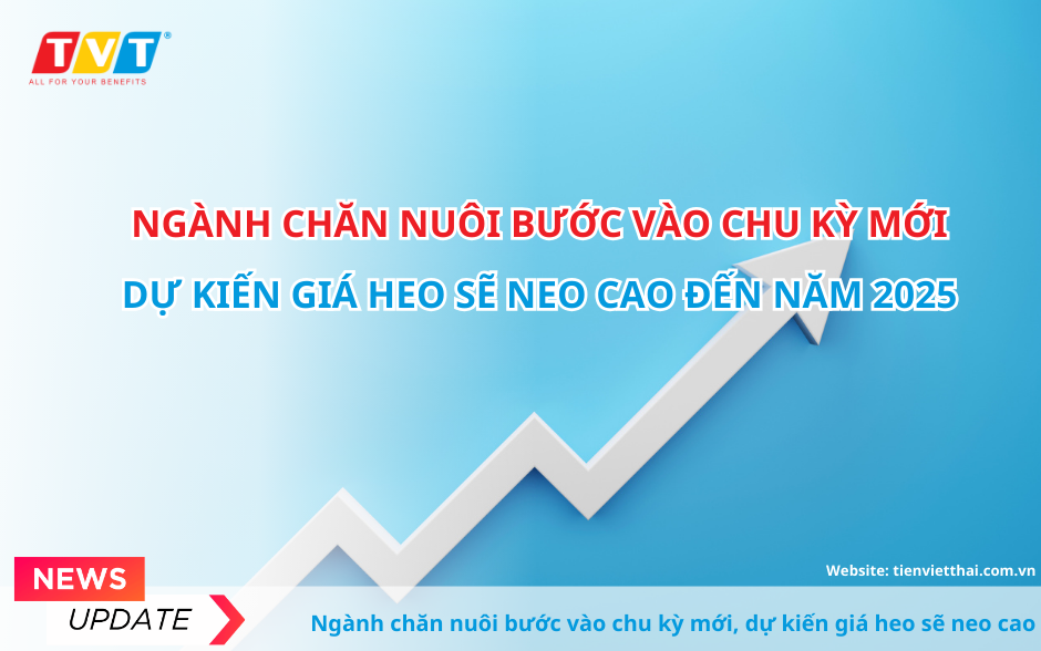 Ngành chăn nuôi bước vào chu kỳ mới, dự kiến giá heo sẽ neo cao đến năm 2025