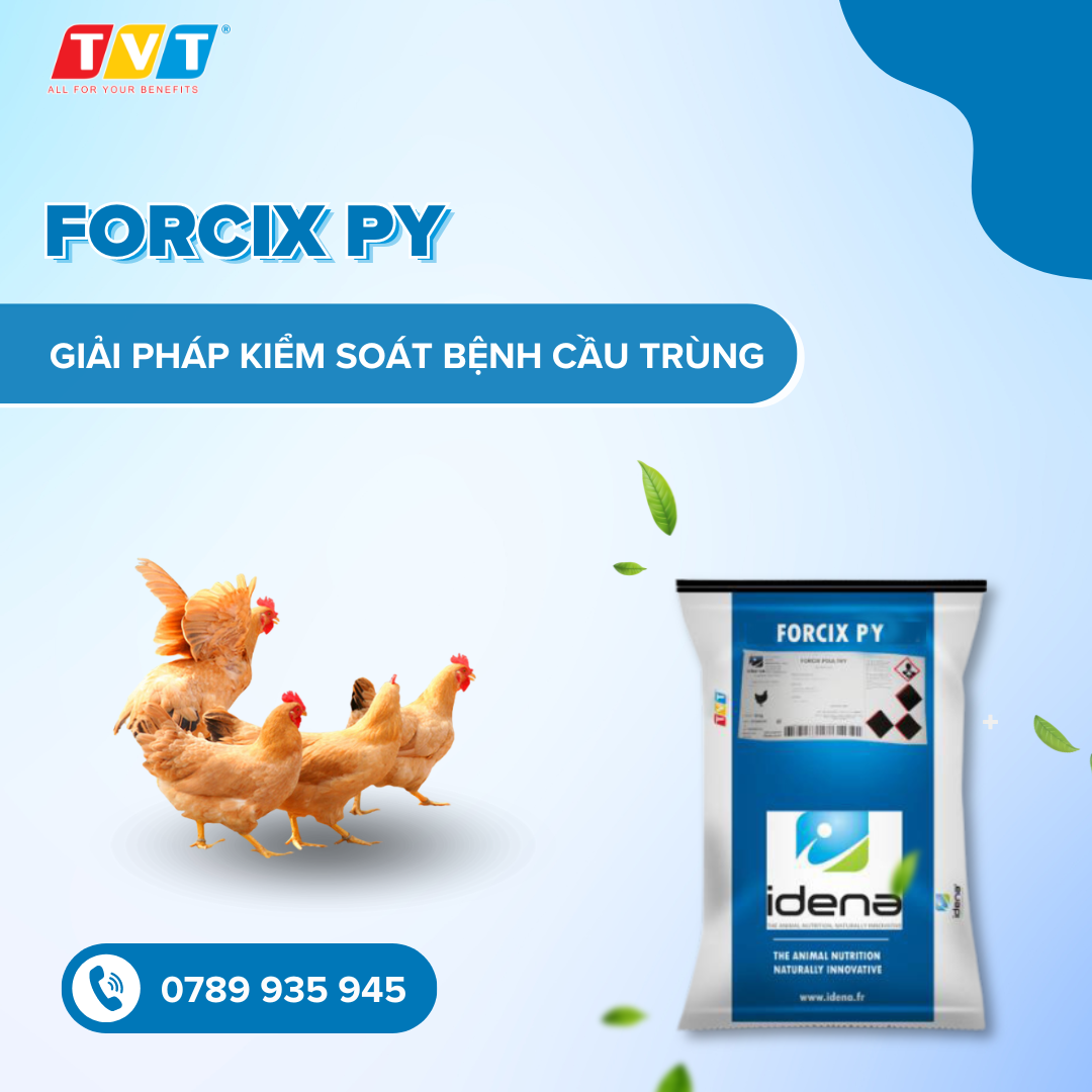 FOCIX PY - GIẢI PHÁP CỦA IDENA NHẰM GIẢM SỬ DỤNG THUỐC KHÁNG SINH VÀ THUỐC KHÁNG CẦU TRÙNG TRONG DINH DƯỠNG GIA CẦM