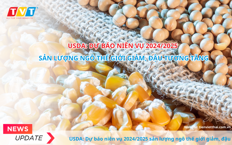 USDA: Dự báo niên vụ 2024/2025 sản lượng ngô thế giới giảm, đậu tương tăng