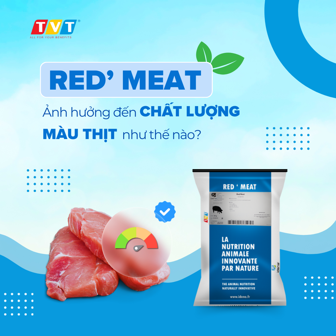 REDMEAT - ẢNH HƯỞNG ĐẾN CHẤT LƯỢNG MÀU THỊT NHƯ THẾ NÀO?