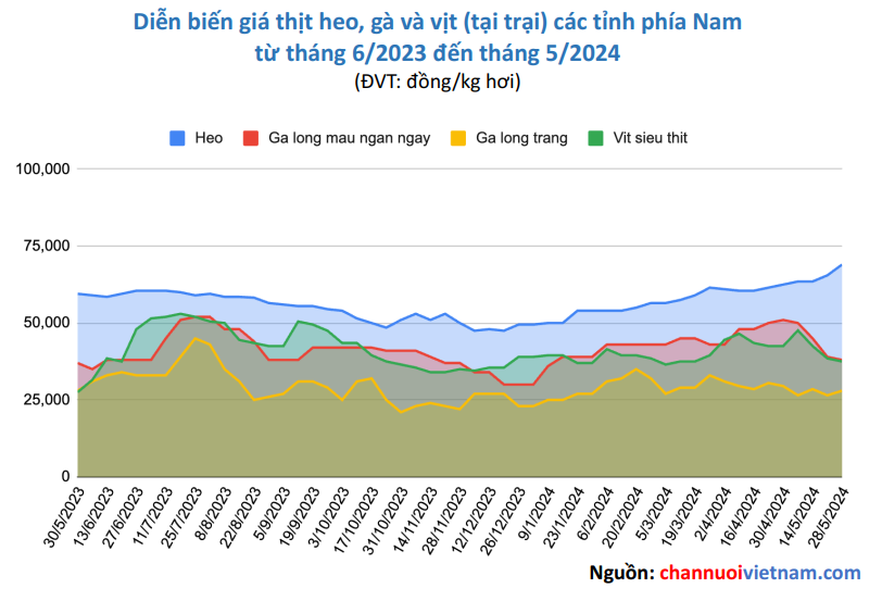 Diễn biến giá thịt heo, gà và vịt (tại trại) các tỉnh phía Nam từ tháng 6/2023 đến tháng 5/2024.