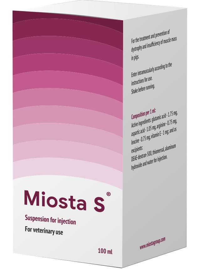 MioSta S