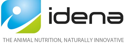 IDENA