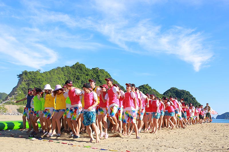 Dịch Vụ Tổ Chức Team Building Uy Tín Tại Vinh