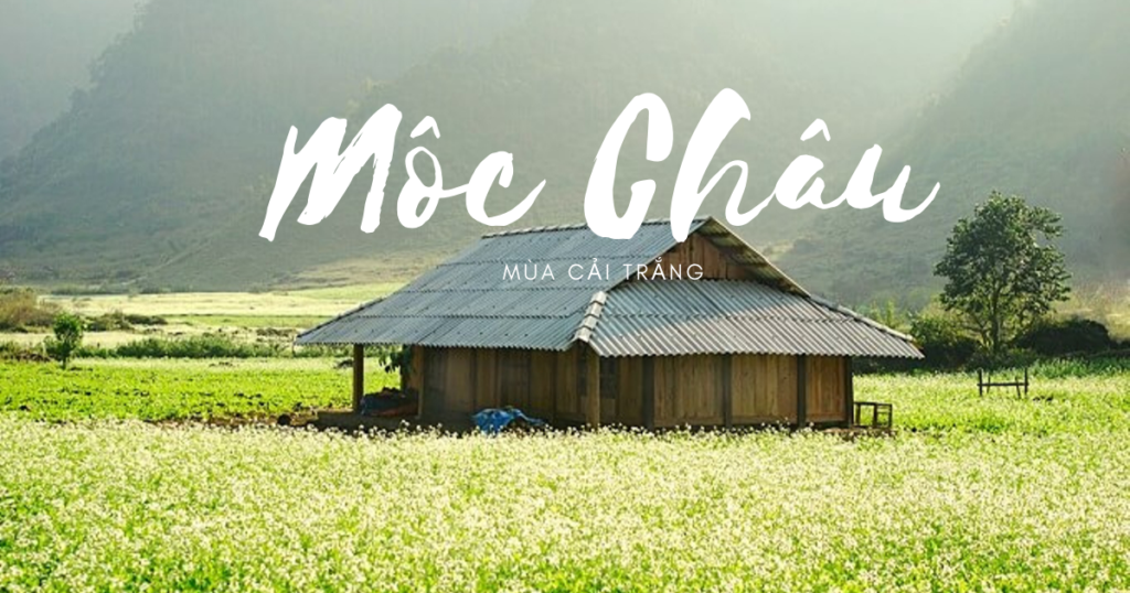 MỘC CHÂU