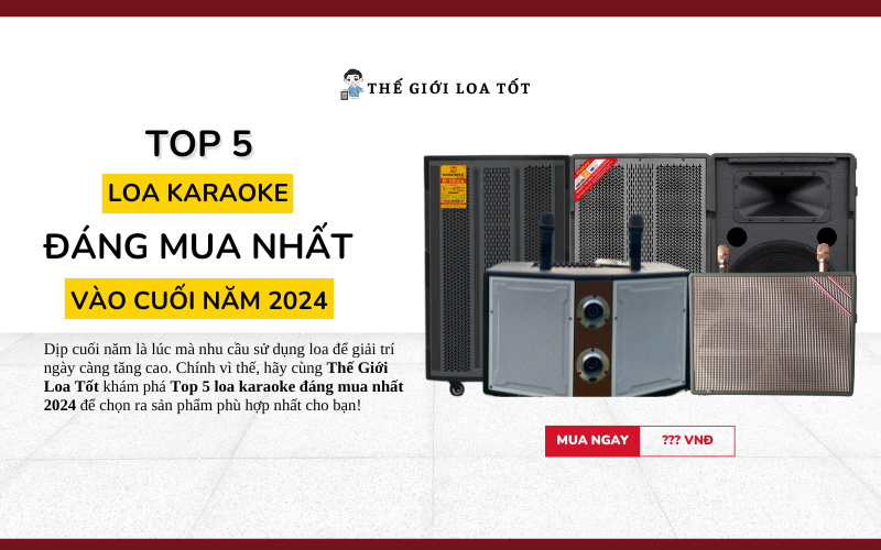 Top 5 Loa Karaoke Đáng Mua Nhất Vào Cuối Năm 2024