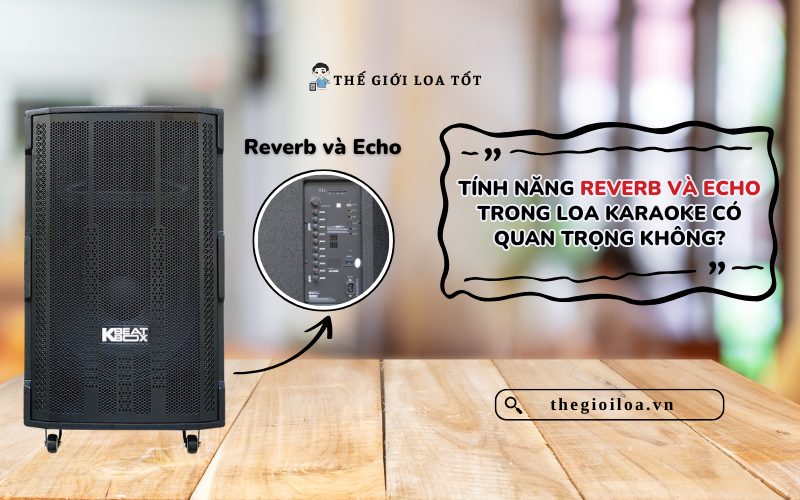 Tính Năng Reverb và Echo Trong Loa Karaoke Có Quan Trọng Không?