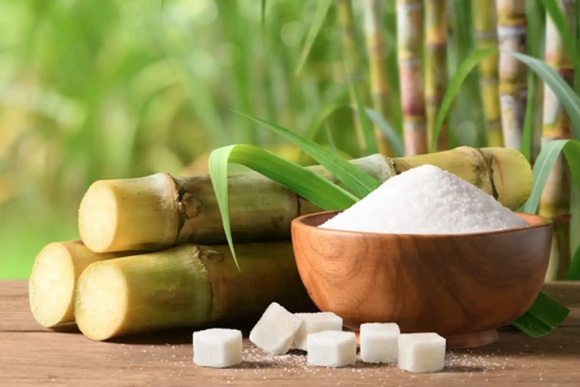 Đơn Vị Cung Cấp Đường Mía Uy Tín Tại Vinh, Nghệ An