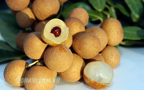 Nhãn Phố Hiến - đặc sản Hưng Yên