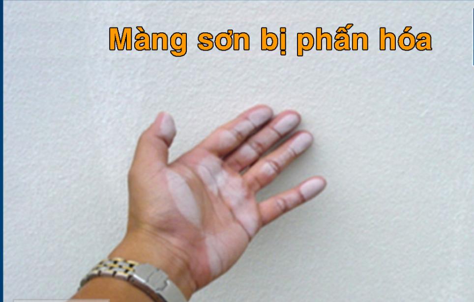 Xử lý tường bị phấn hóa