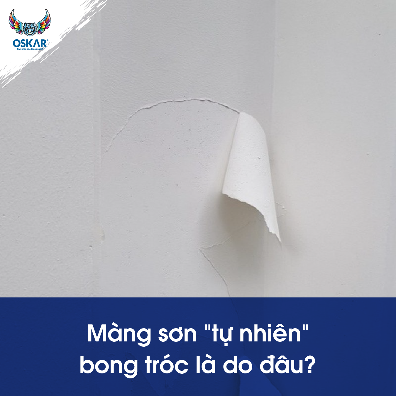 MÀNG SƠN " TỰ NHIÊN " BONG TRÓC LÀ DO ĐÂU VÀ CÁCH XỬ LÝ