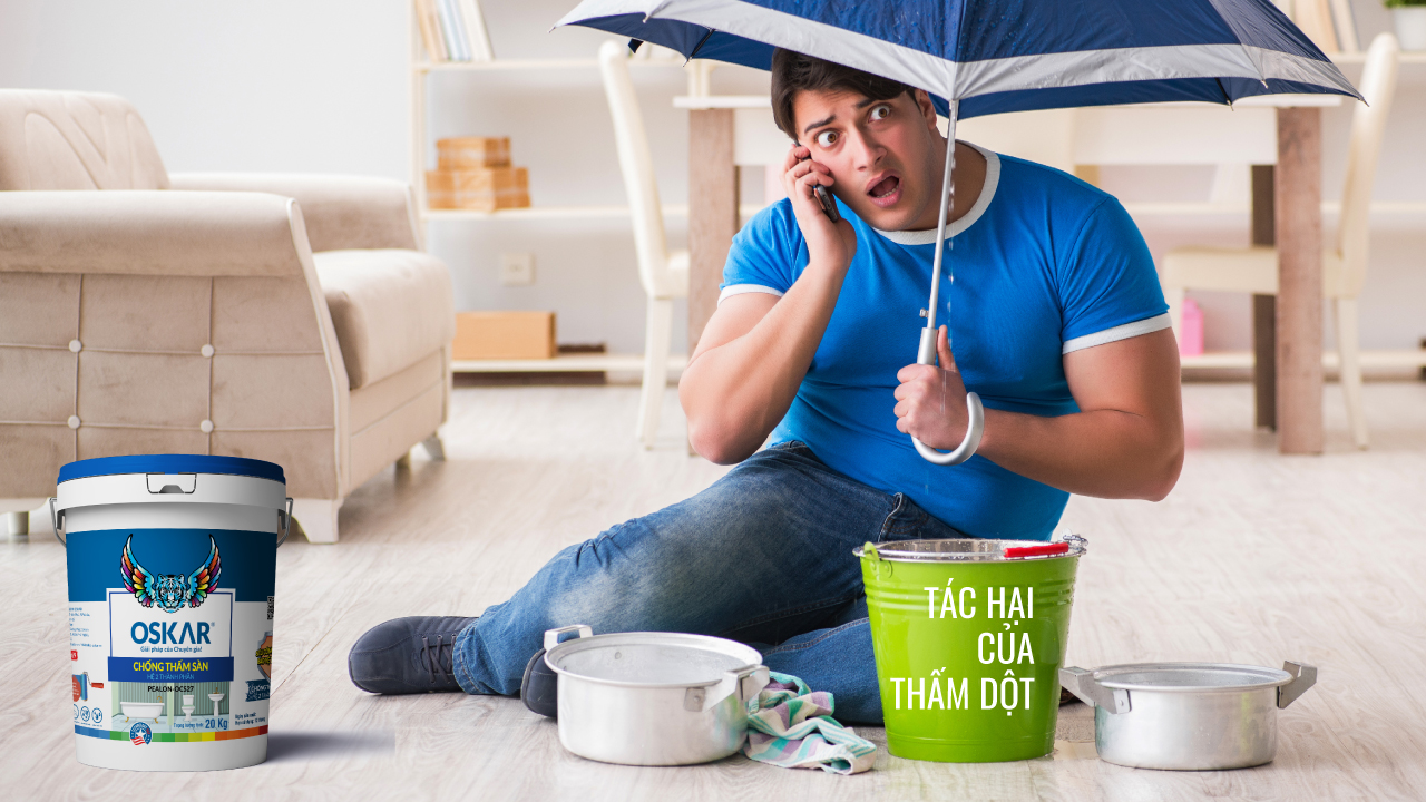 ​TÁC HẠI CỦA THẤM DỘT