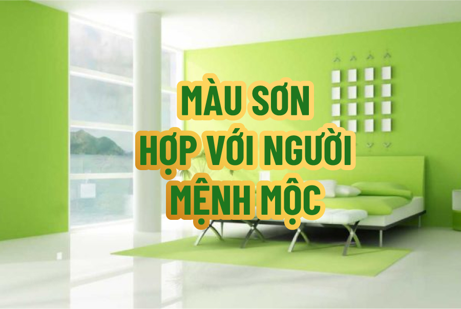 MÀU SƠN HỢP VỚI NGƯỜI MỆNH MỘC