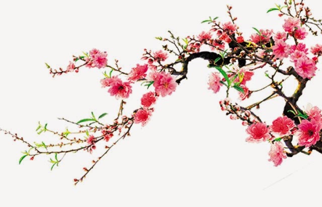 Thư chúc Tết Kỷ Hợi 2019 của Tổng giám đốc