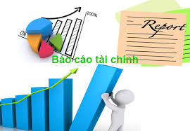 Báo cáo tài chính năm 2019