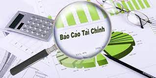 Báo cáo tài chính năm 2021