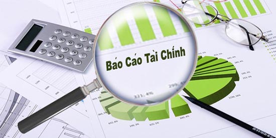 Báo cáo tài chính quý 2 năm 2025