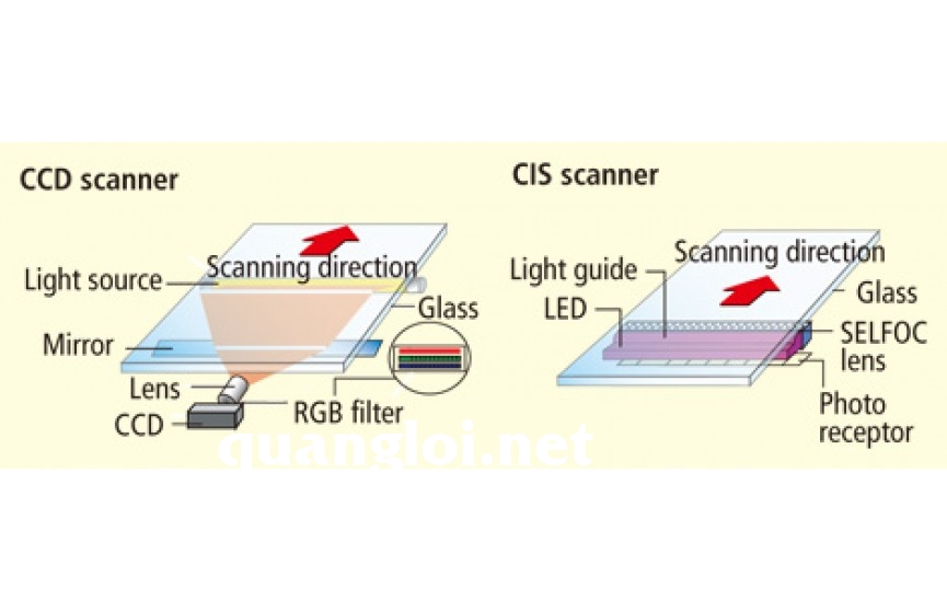 Khám phá Công nghệ Scan CCD và CIS