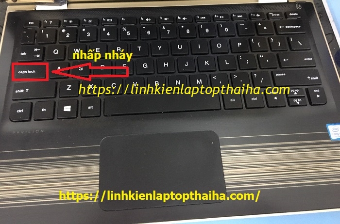 Lỗi nút caps lock laptop nhấp nháy khi khởi động laptop