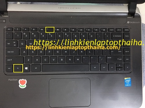 Cách bật tắt đèn bàn phím laptop Dell, HP, Asus, Acer, Vaio, Lenovo, MacBook