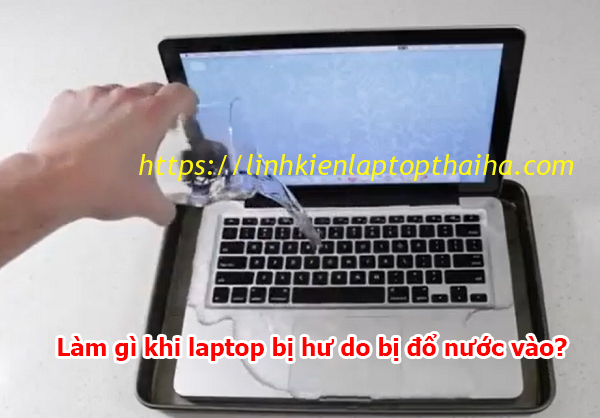 Làm gì khi laptop bị hư do đổ nước vào? Phương án khắc phục là gi?