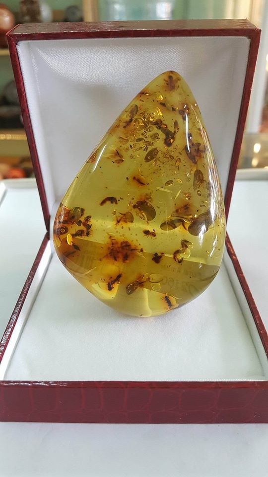 AMBER-HỔ PHÁCH