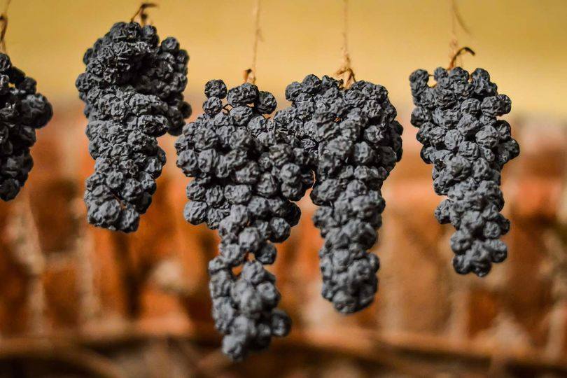 Thuật ngữ Appassimento trong rượu vang Ý có nghĩa là gì?